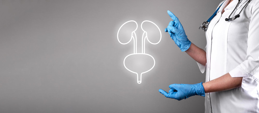 Ginecología y Urología
